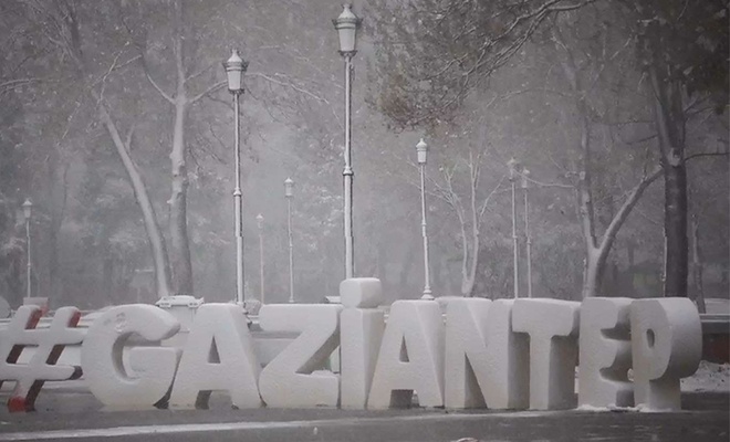 Gaziantep’te soğuk hava ve don etkili