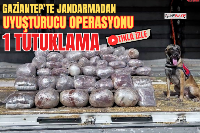 Gaziantep’te Jandarmadan uyuşturucu operasyonu: 1 tutuklama