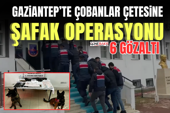 Gaziantep’te çobanlar çetesine şafak operasyonu: 6 gözaltı