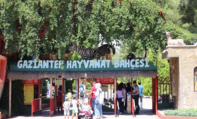 Aslanın bakıcısını yaraladığı Gaziantep Hayvanat Bahçesi tekrar ziyarete açıldı