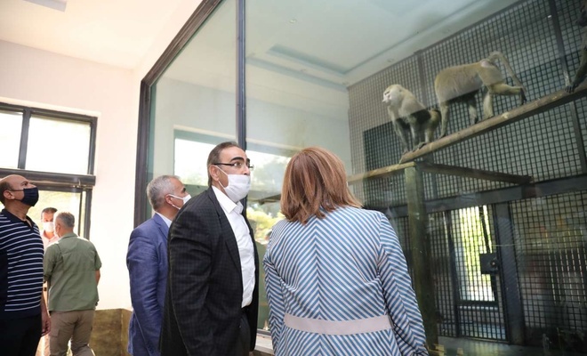 Gaziantep Hayvanat Bahçesi’nde 'Şempanze Adası' açıldı