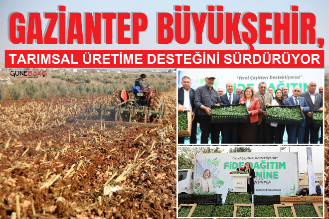 Gaziantep Büyükşehir, tarımsal üretime desteğini sürdürüyor
