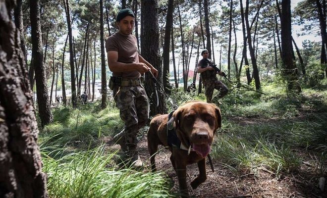 Gaziantep'te ormanlara giriş kısıtlaması uzatıldı