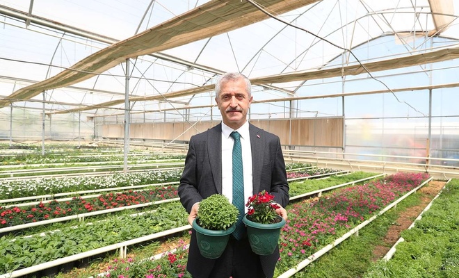 Şahinbey Belediyesi tam otomasyonlu seralarda çiçek yetiştiriyor