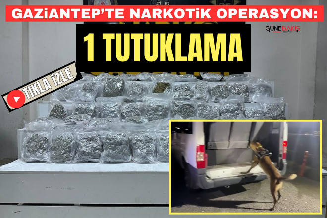 Gaziantep’te narkotik operasyon: 1 tutuklama