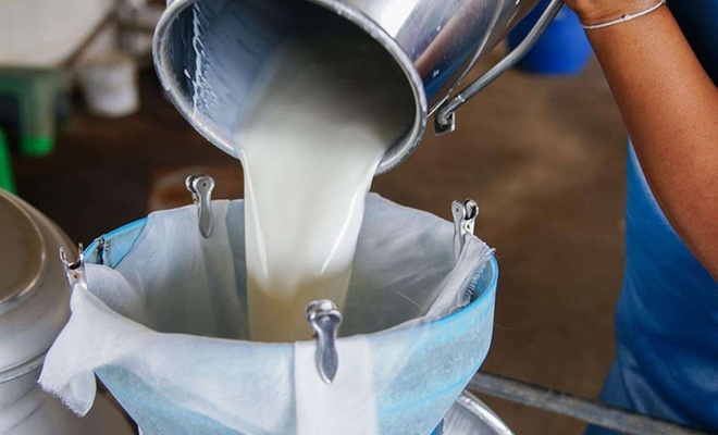 Tam kapanmada süt üreticileri mağdur edilmeyecek