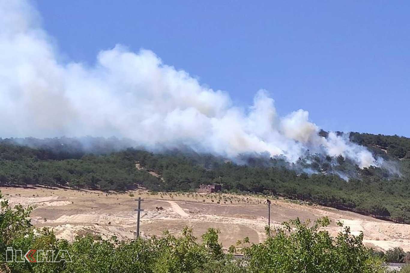 Gaziantep'te ormanda çıkan yangın söndürüldü