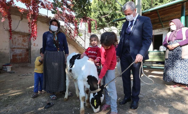 Gaziantep’te hayvan yetiştiricilerine destek devam ediyor