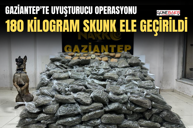 Gaziantep'te uyuşturucu operasyonu: 180 kilogram skunk ele geçirildi