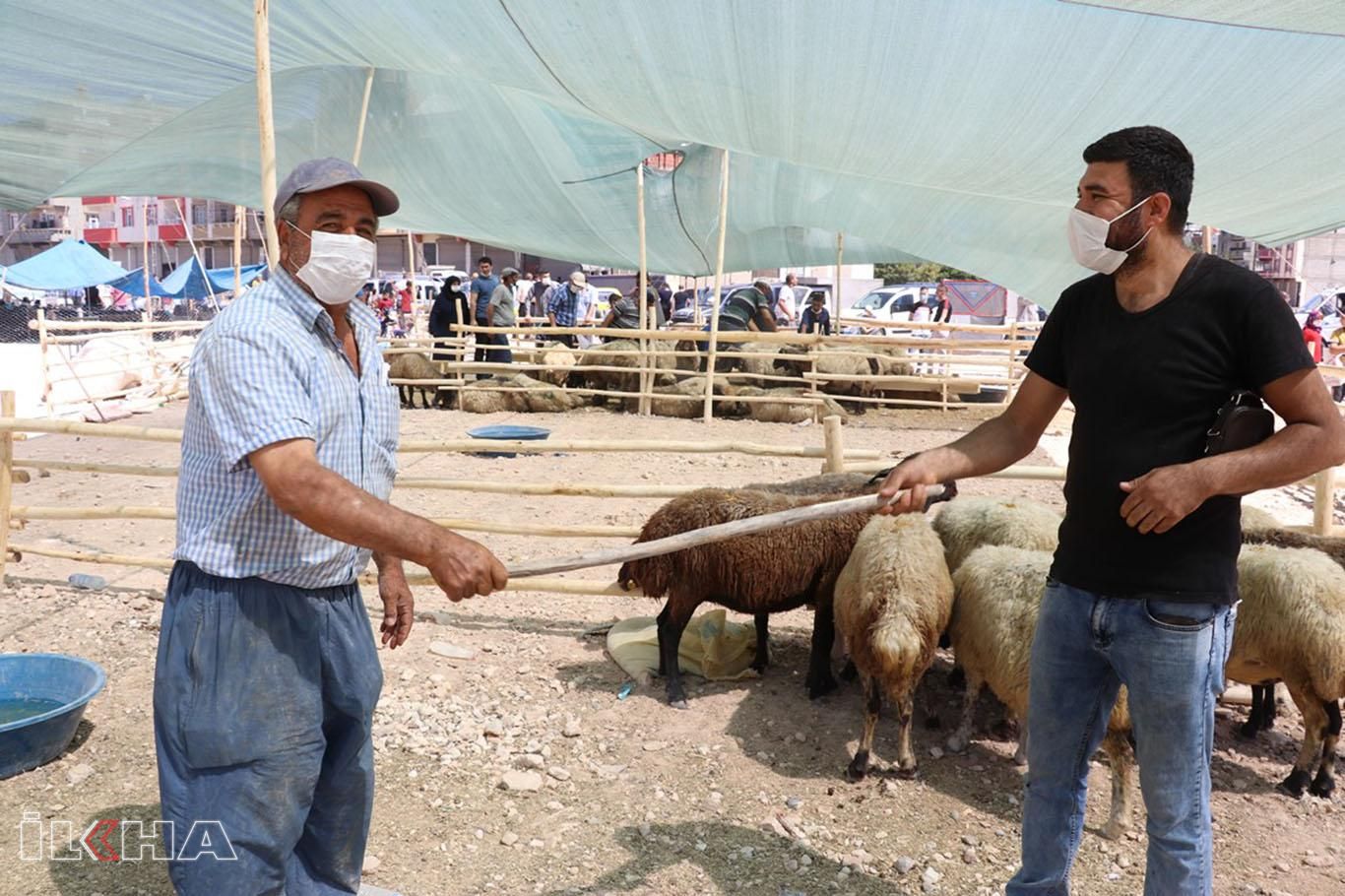​Hayvan pazarlarında kıyasıya pazarlık çoban değnekleriyle yapıldı