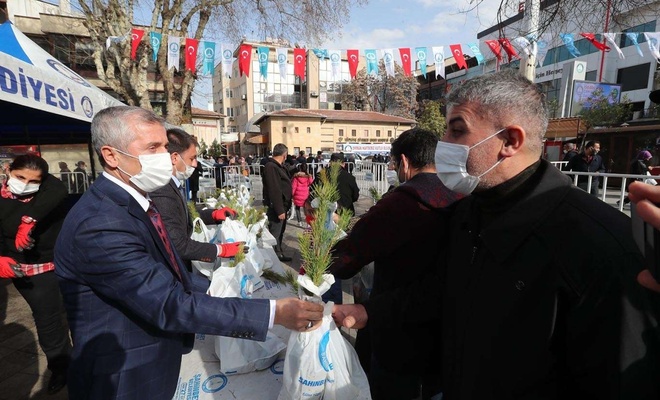 Gaziantep’te 150 bin adet ücretsiz fidan dağıtılacak