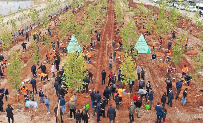 Gaziantep'in orman varlığı artıyor