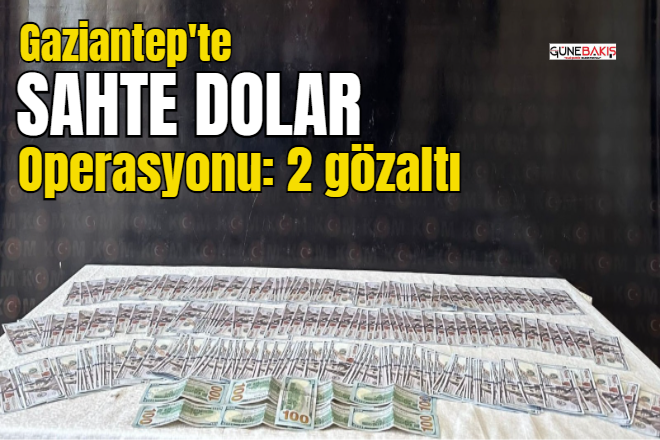 Gaziantep'te sahte dolar operasyonu: 2 gözaltı