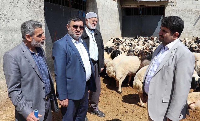 HÜDA PAR Gaziantep İl Başkanı Göçer: Hayvancılığa sahip çıkmalıyız
