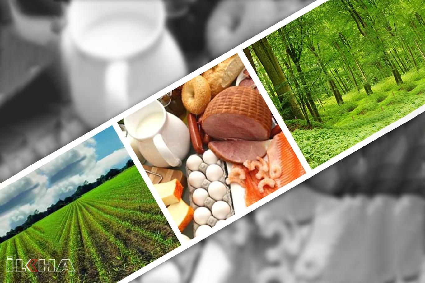 Gıda, tarım ve orman alanındaki düzenleme hakkında uzmanlar ne diyor?