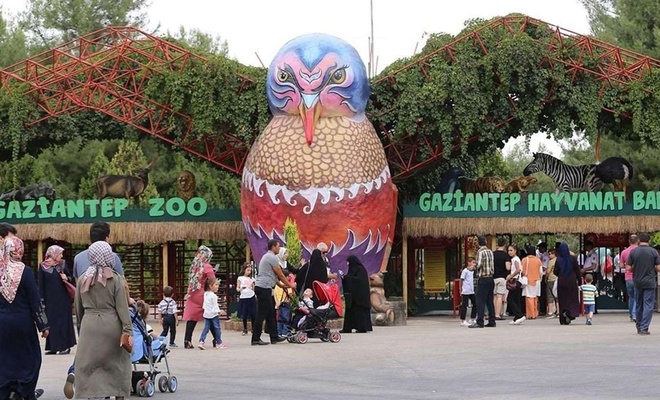 Gaziantep Hayvanat Bahçesi pandemi sürecinde de yoğun ilgi gördü