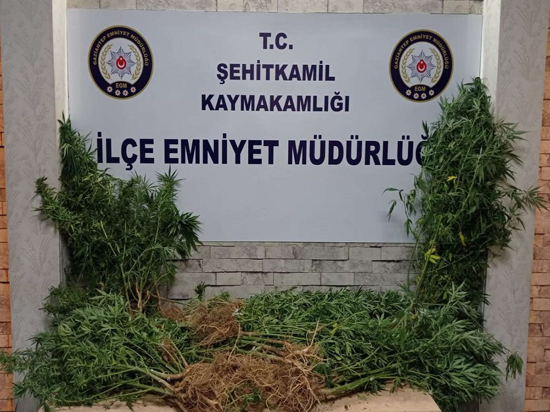 Gaziantep’te uyuşturucu ve kaçakçılık operasyonu: 67 gözaltı 