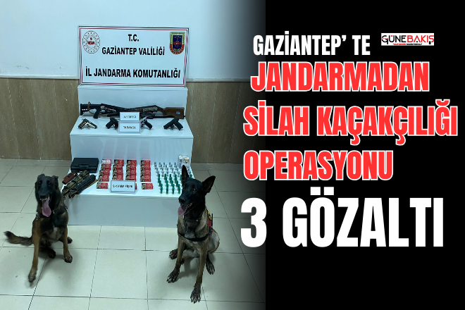 Gaziantep’ te Jandarmadan silah kaçakçılığı operasyonu: 3 gözaltı