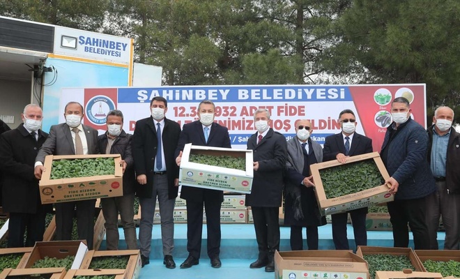 Şahinbey'de çiftçilere ücretsiz fide dağıtıldı