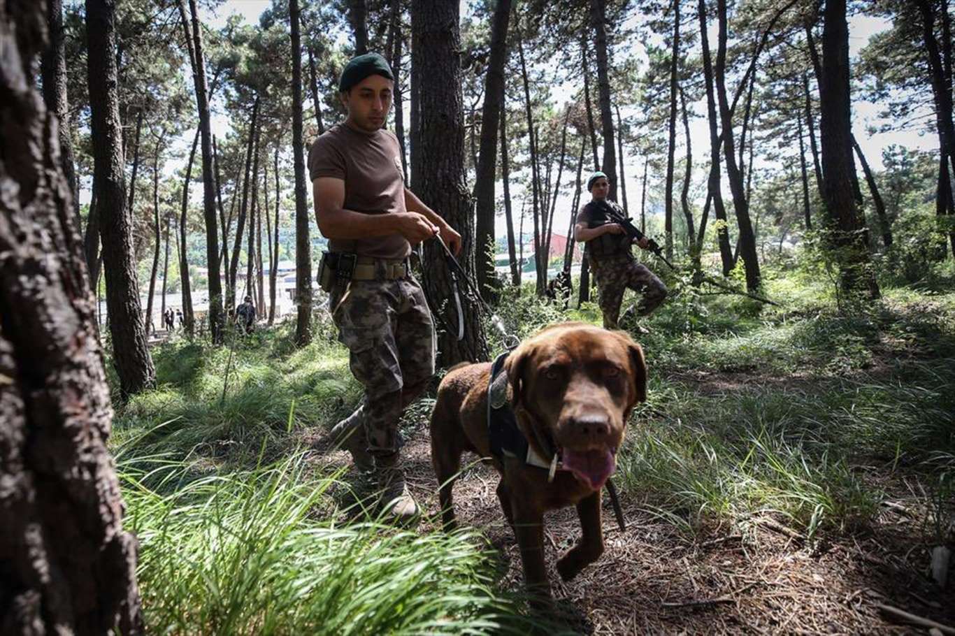 Gaziantep'te ormanlara giriş çıkışlar yasaklandı