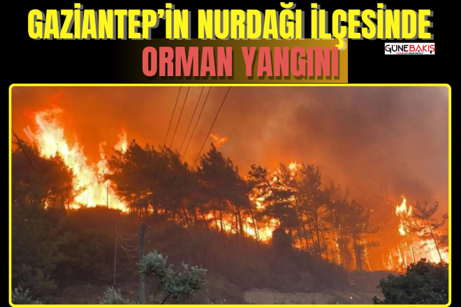 Gaziantep’in Nurdağı ilçesinde çıkan orman yangınına müdahale ediliyor 
