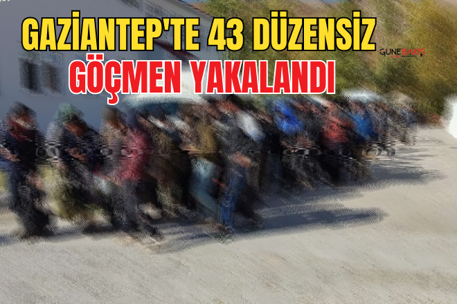 Gaziantep'te 43 düzensiz göçmen yakalandı