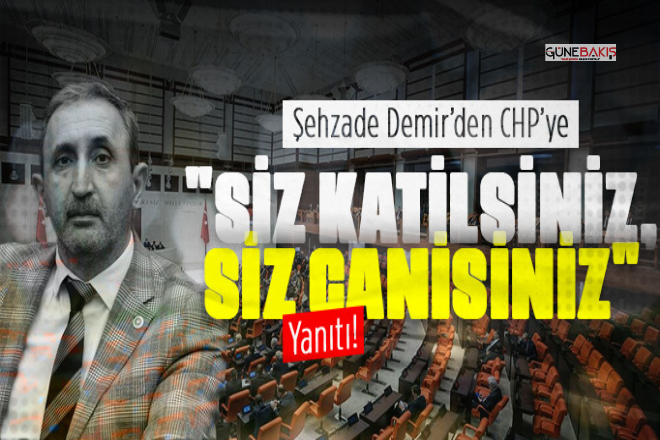 HÜDA PAR Milletvekili Demir, CHP'ye 'siz katilsiniz, siz canisiniz' yanıtı