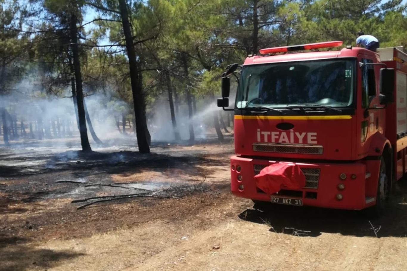 Gaziantep’te Burç Ormanı’ndaki yangın büyümeden söndürüldü 