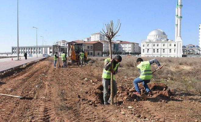 Gaziantep'te milyonlarca fidan toprakla buluştu