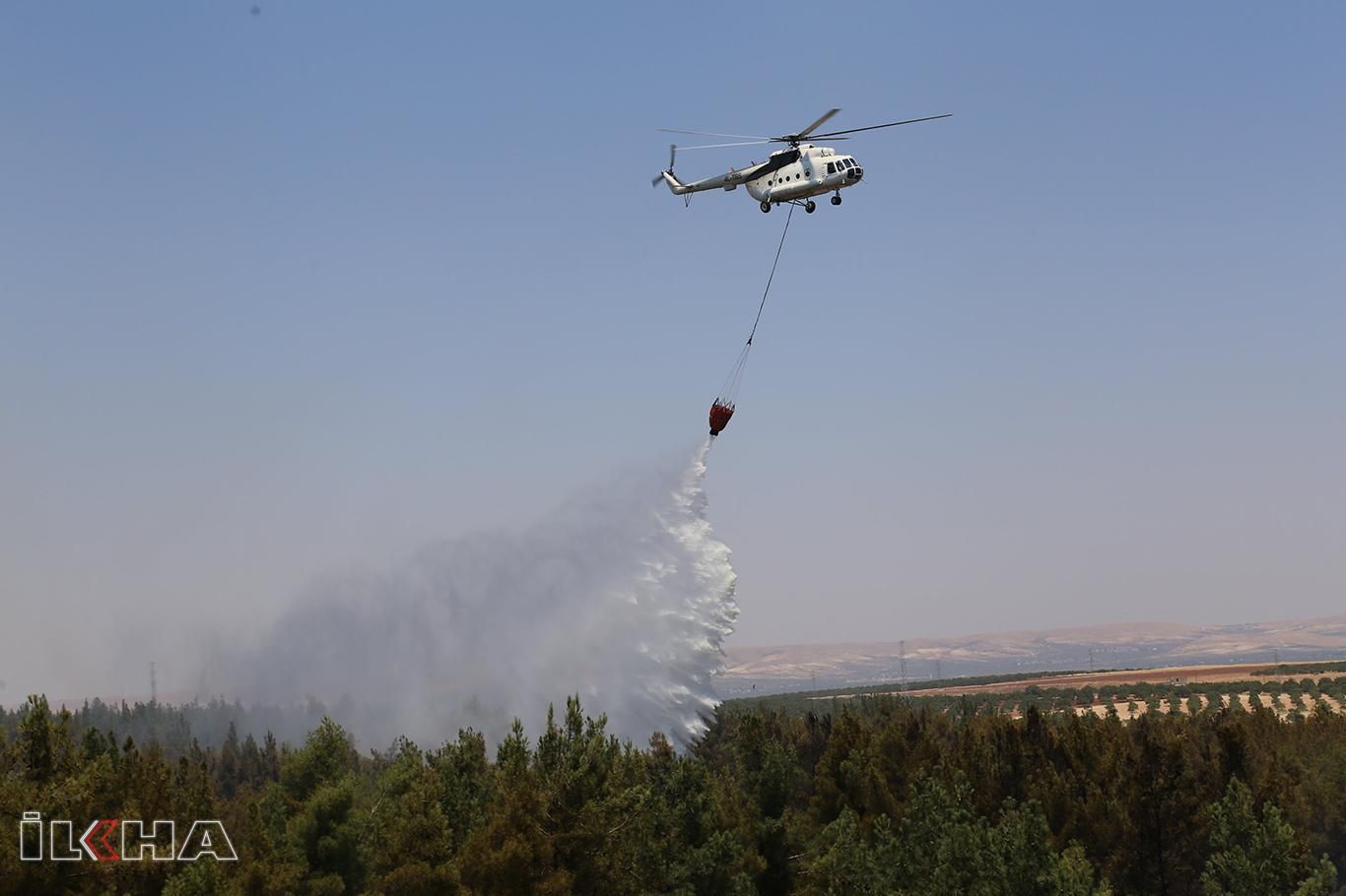 Gaziantep'te orman yangınları