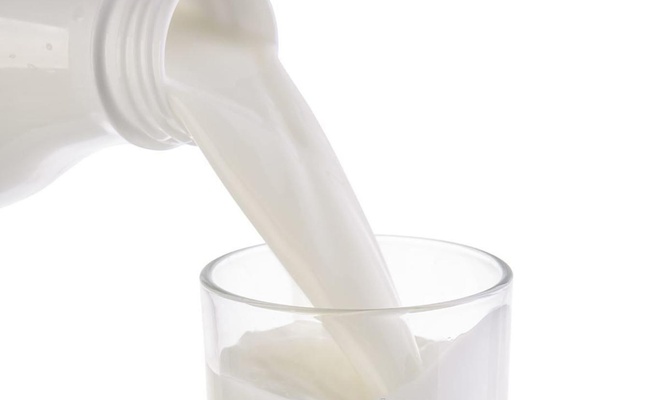 Çiğ süt destek ödemesi yarın yapılacak