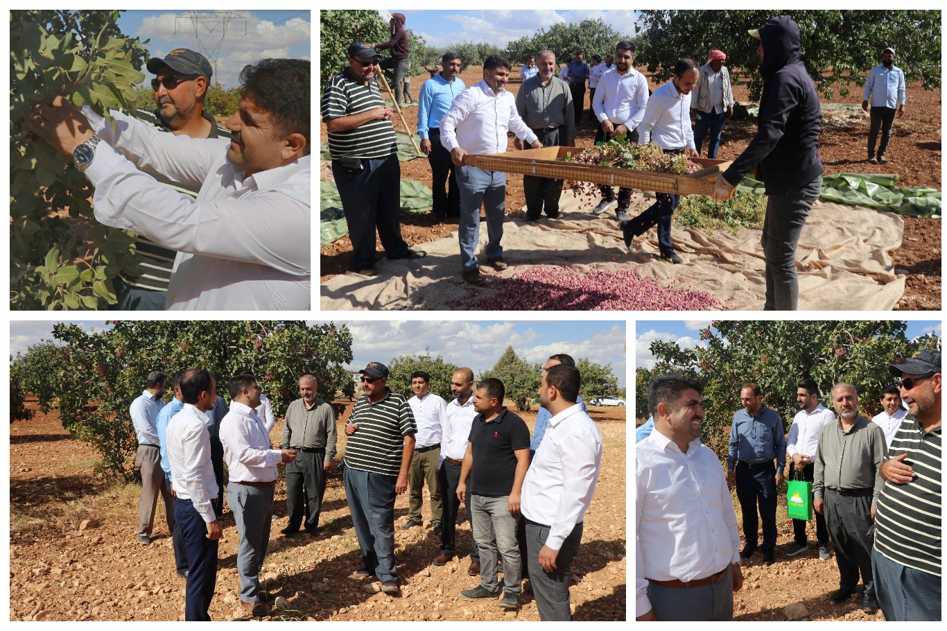 HÜDA PAR Gaziantep İl Başkanı Göçer: Çiftçi emeğinin karşılığını alamıyor