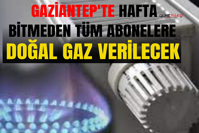 Gaziantep'te hafta bitmeden tüm abonelere doğal gaz verilecek