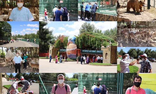 Gaziantep Hayvanat Bahçesi normalleşme süreciyle ziyaretçi akınına uğradı