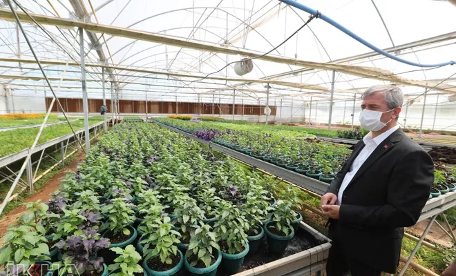 Daha yeşil bir Gaziantep’in oluşturulması hedefleniyor