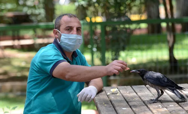 Karga ile bakıcısının sıra dışı dostluğu görenleri şaşırtıyor