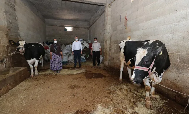 Gaziantep’te dar gelirli hayvan yetiştiricilerine destek verildi