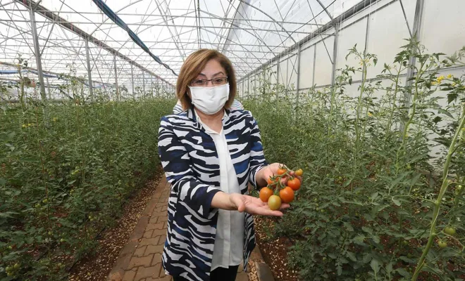 Gaziantep'te "Tarımsal Eğitim ve Yöresel Ürünler İşleme Merkezi" hizmete girdi