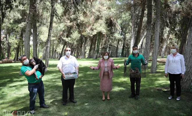 Gaziantep Hayvanat Bahçesi yeni üyelerine kavuştu