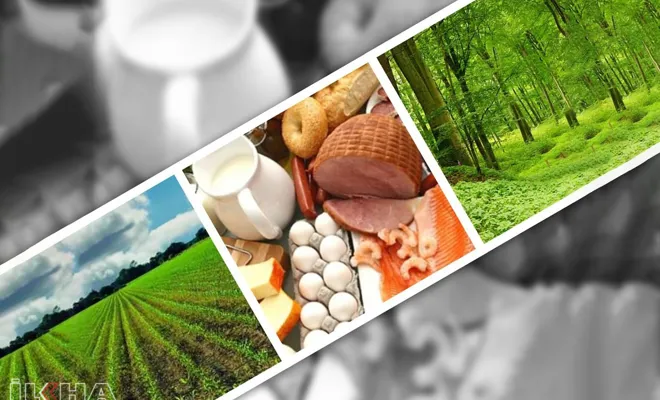 Gıda, tarım ve orman alanındaki düzenleme hakkında uzmanlar ne diyor?