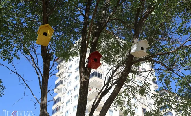 Gaziantep’te parklarda kuşlar için yuva yapıldı