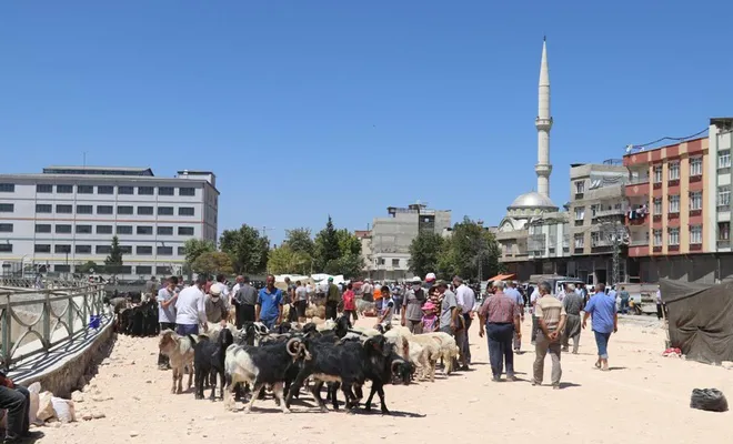 Kurban pazarlarında arefe günü hareketliliği yaşanıyor