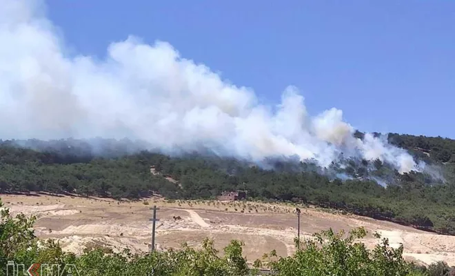 Gaziantep'te ormanda çıkan yangın söndürüldü