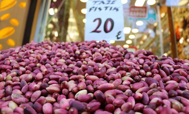 Antep fıstığı üreticileri fiyatlardan memnun değil