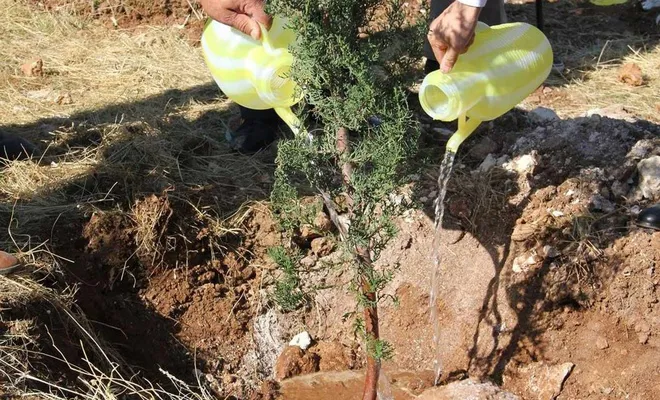 Gaziantep’ten Hatay’a 25 bin adet fidan gönderilecek