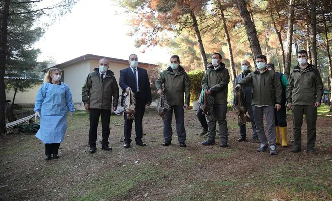 Gaziantep’te tedavisi tamamlanan kuşlar doğaya bırakıldı