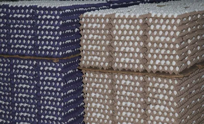 Yumurta fiyatları neden arttı?