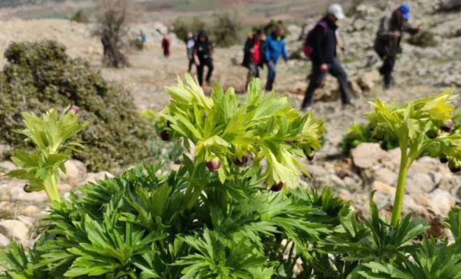 Doğa tutkunları salgın sürecinde doğada vakit geçiriyor