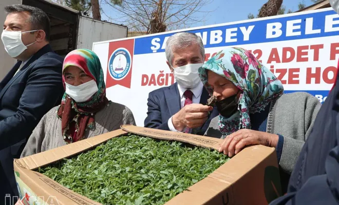 Çiftçilere ücretsiz meyve ve sebze fide desteği sürüyor