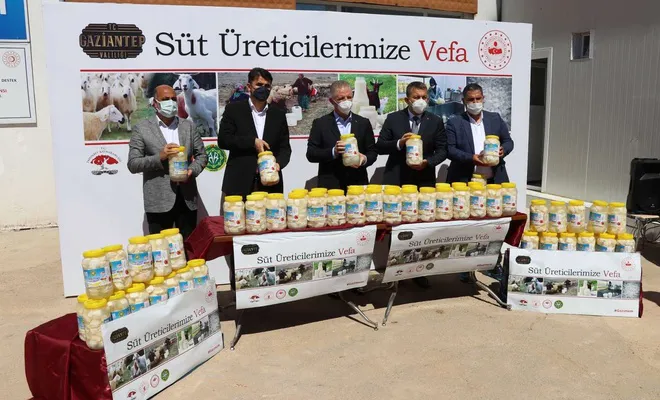 Üreticilerden alınan sütler peynire dönüştürülerek ihtiyaç sahiplerine dağıtılıyor